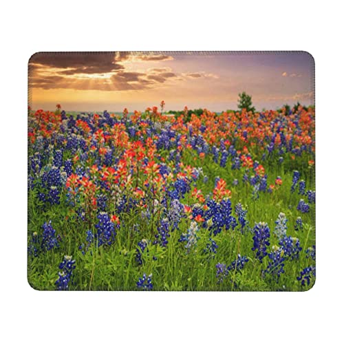 Texas Bluebonnets Scenery