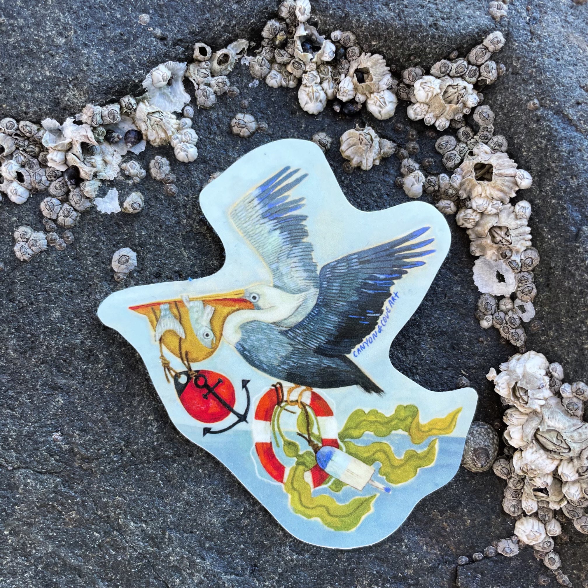 Premium Pelican Bay Stickers - Waterproof, Durable Vinyl Decals for Laptops, Cars & Outdoor Gear - Perfect for Surfers, Boaters & Adventure Enthusiasts