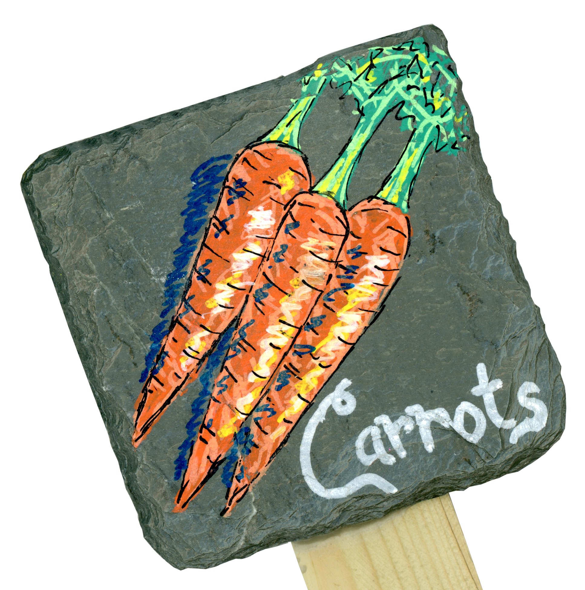 Hand-Painted Slate Garden Stakes with Chalk Art Carrots - Outdoor Decor for Vegetable Gardens, Flower Beds & Yard Landscaping