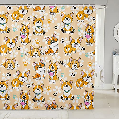Corgi
