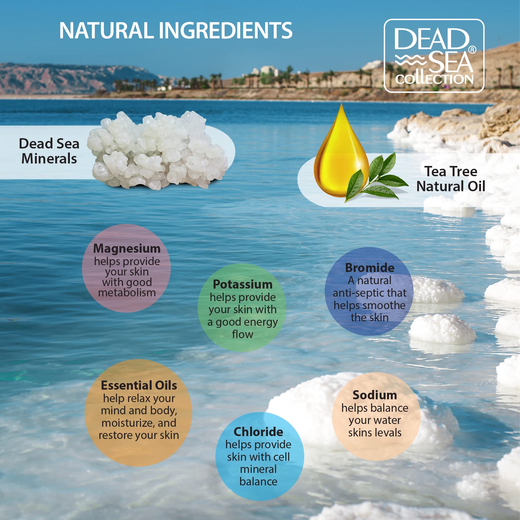 Dead Sea Salt Body Scrub Bundle - 2 Pack Large 23.28oz (Tea Tree & Eucalyptus) with Organic Essential Oils & Natural Minerals - Exfoliating & Moisturizing for Smooth Skin - Perfect for Spa Day, Self Care & Gift Giving
