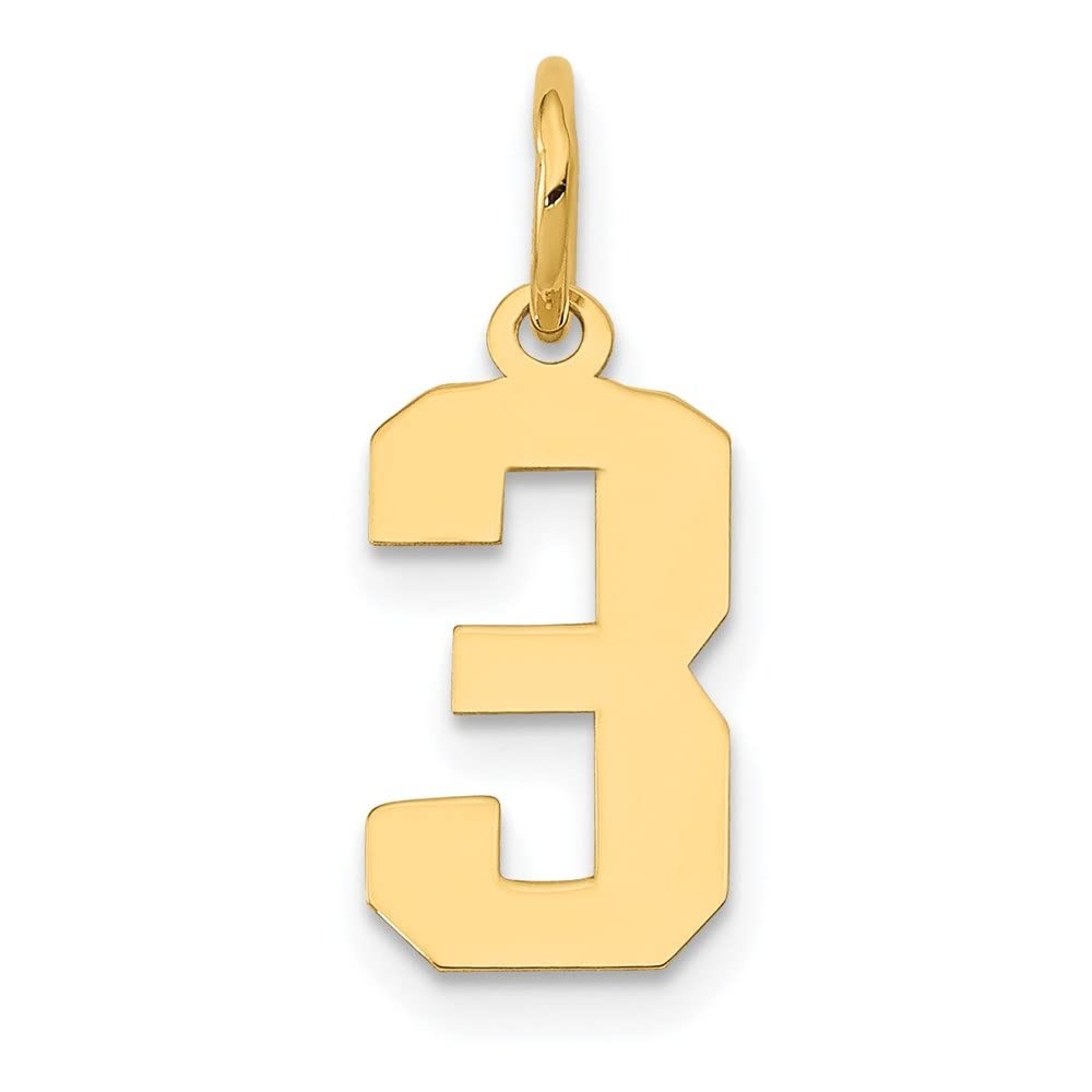 14K Yellow Gold Small Polished Number Charm Pendant Necklace - Dainty Women's Jewelry Gift for Birthday, Anniversary & Everyday Wear