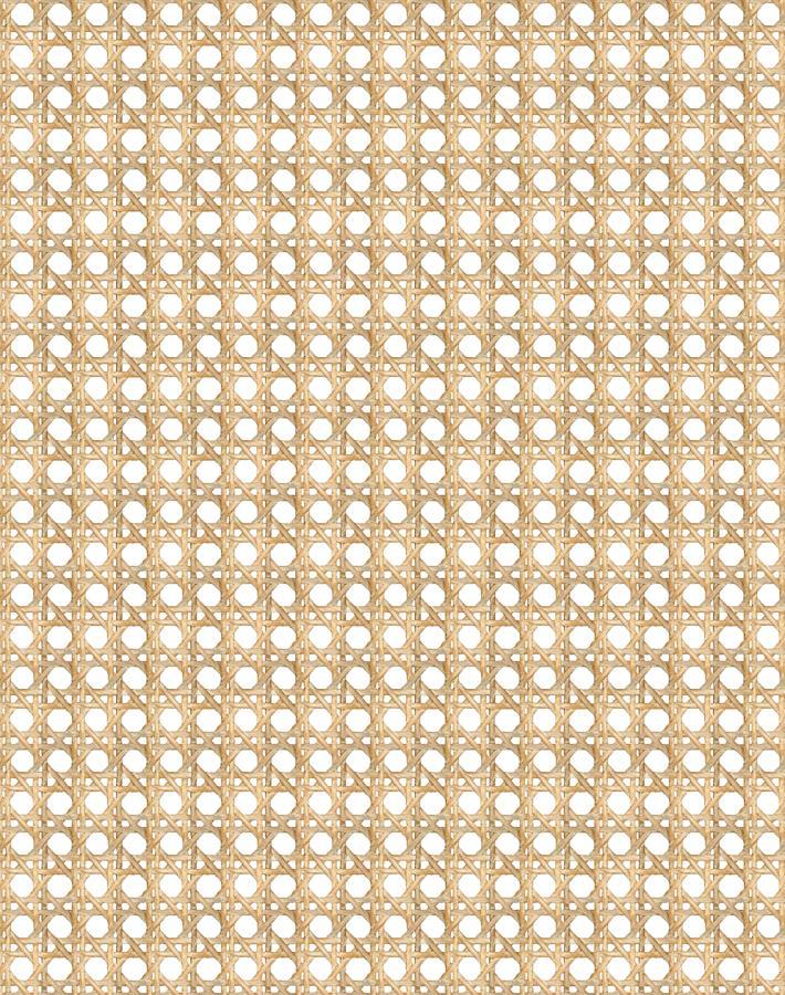 Wallshoppe Faux Caning Wicker Wallpaper - Peel and Stick Self-Adhesive Wallpaper for Bedroom, Living Room, and Office Decor