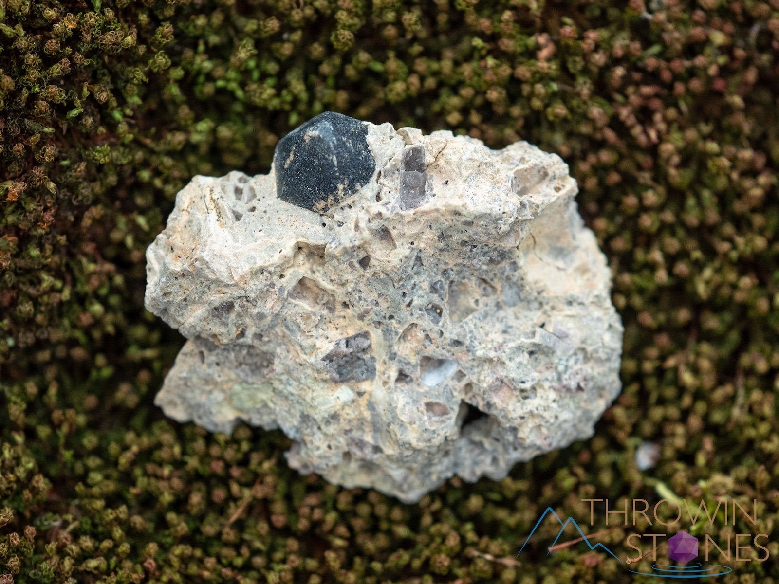 Natural MORION QUARTZ Raw Crystal - Healing Stone for Home Decor, Housewarming Gift & Spiritual Healing | Perfect for Meditation, Feng Shui & Positive Energy