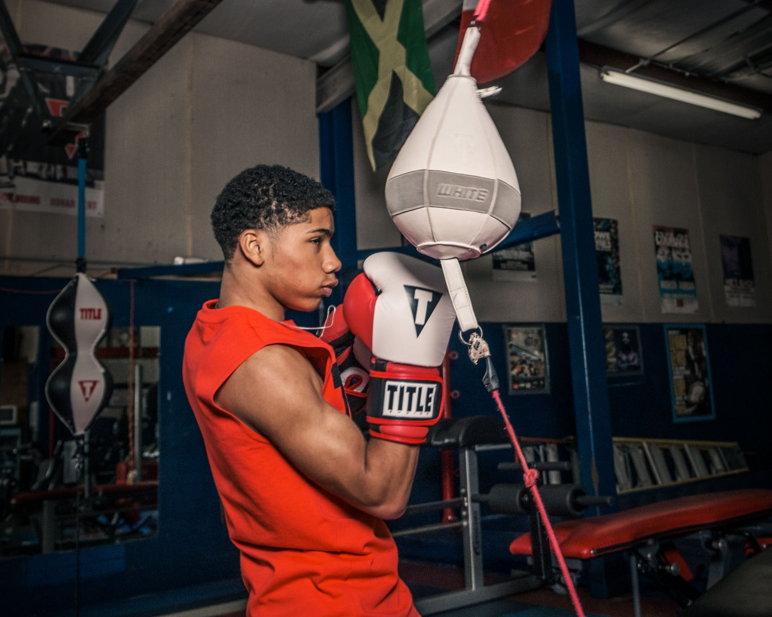 TITLE Boxing Gel Professional Series Training Boxing Gloves - Premium MMA & Kickboxing Gear for Men & Women - Perfect for Gym, Sparring, and Heavy Bag Workouts