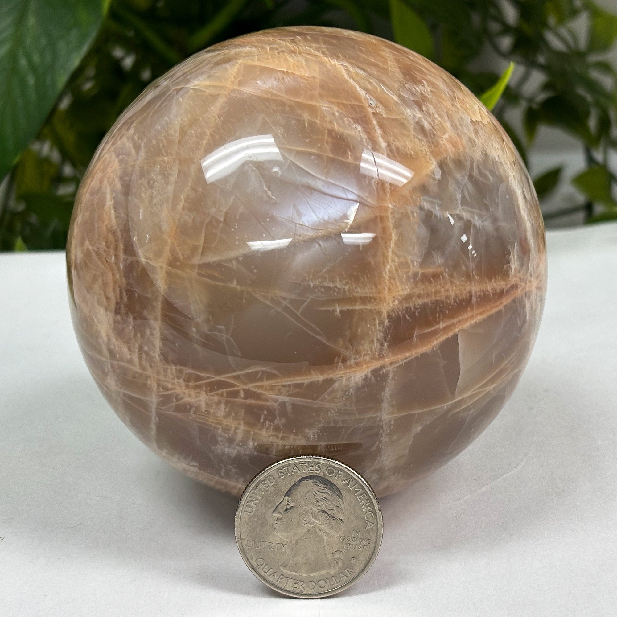 Natural Polished Moonstone Sphere – Smooth Round Stone with Shimmering Finish – Perfect for Home Décor, Meditation, Crystal Healing & Gift Giving – 13mm Diameter