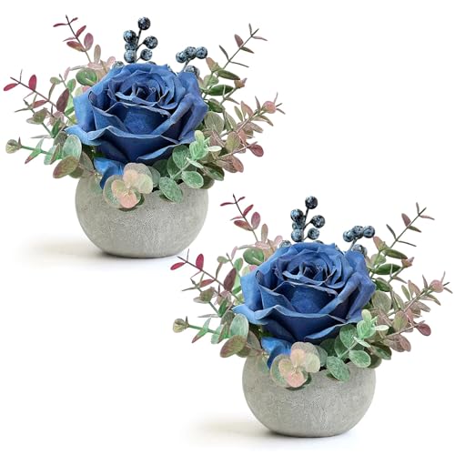 2 Pack Blue Rose