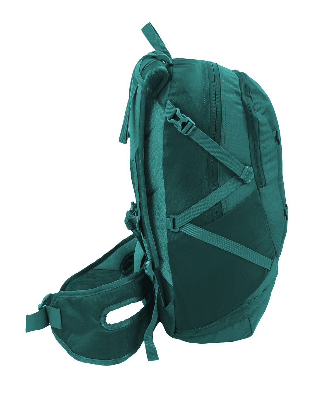 Black Wolf Garigal 30L Hiking Backpack - Quetzal Green | Lightweight Water-Resistant Daypack for Outdoor Adventures, Travel & Camping