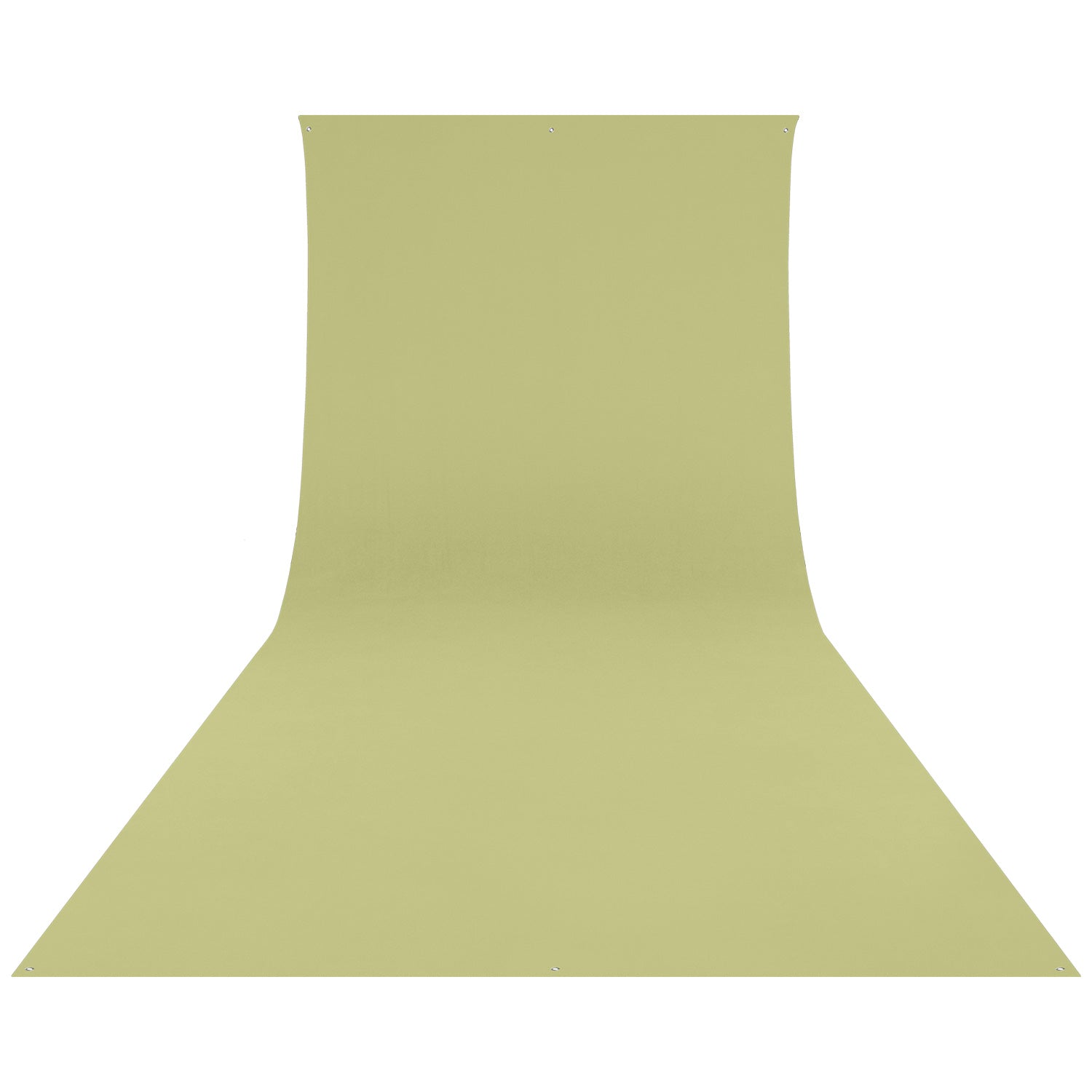 Wrinkle Resistant Light Moss Green Photography Backdrop - 9' x 20' Fabric Background for Studio, Portraits, and Events