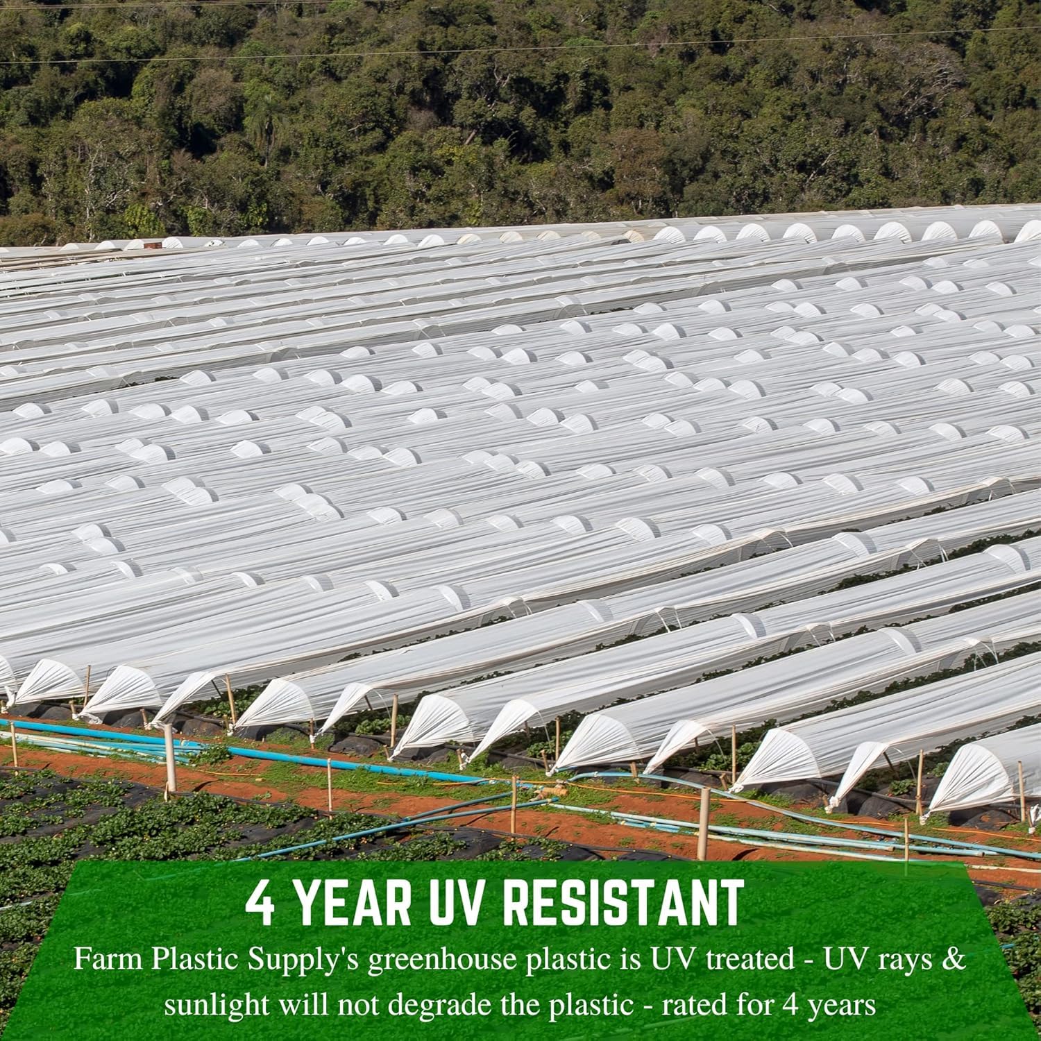 UV-Resistant 10 mil White Greenhouse Plastic Sheeting - 4 Year String Reinforced Polyethylene Film for Hoop House & Greenhouse Cover (32' x 40') - Durable Plant Protection for Year-Round Gardening
