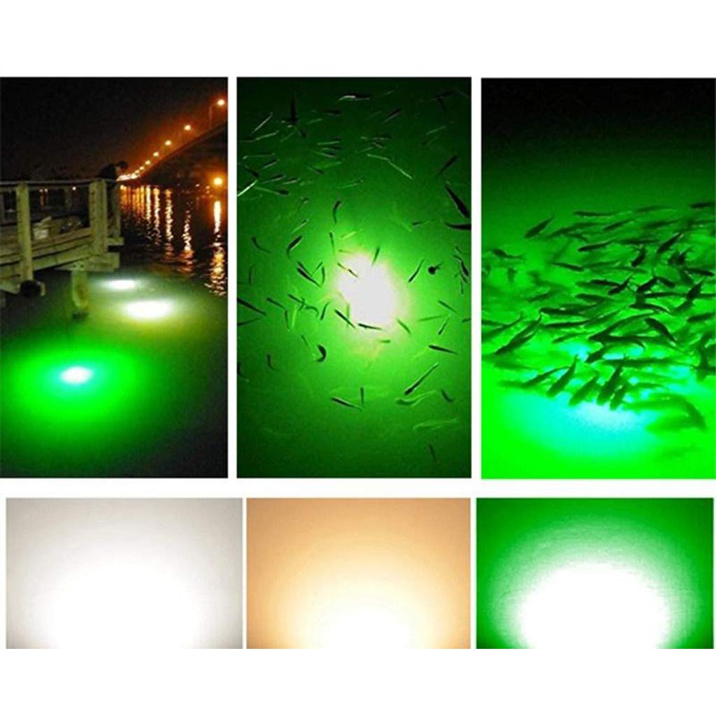 MYADDICTION IP68 Waterproof 12V LED Green Underwater Fishing Light - Attracts Prawns & Squid for Night Fishing | Durable Submersible Lamp for Boats, Docks & Ice Fishing | Perfect Bait Light for Saltwater & Freshwater Fishing
