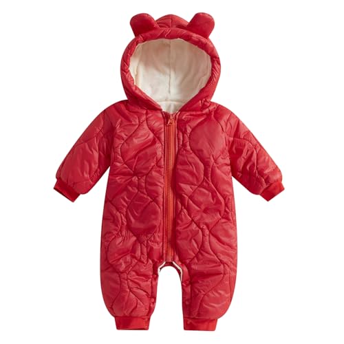 Bear Red