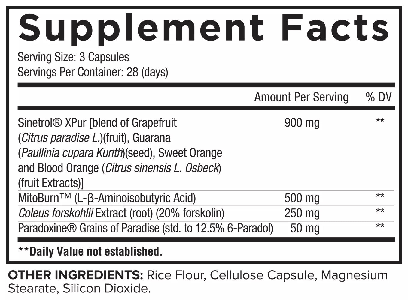 Core Sear Non-Stimulant Fat Burner Capsules for Weight Loss & Metabolism Boost – Perfect for Gym, Workout, and Daily Energy Support