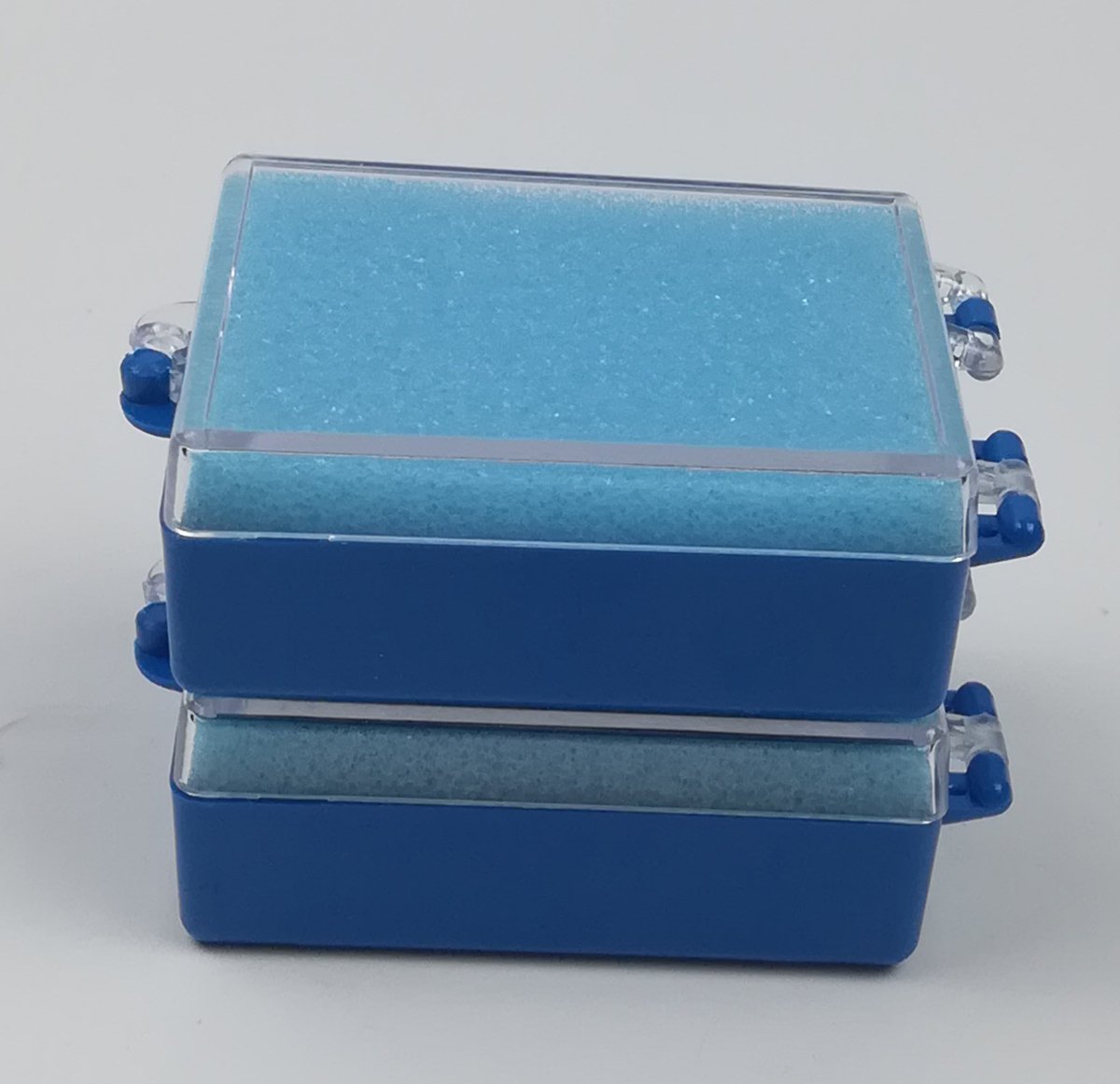 100 Pcs Dental Plastic Tooth Storage Boxes with Foam Inserts - Organize Dental Crowns, Bridges & Dentures - Perfect for Dental Labs, Clinics & Home Use