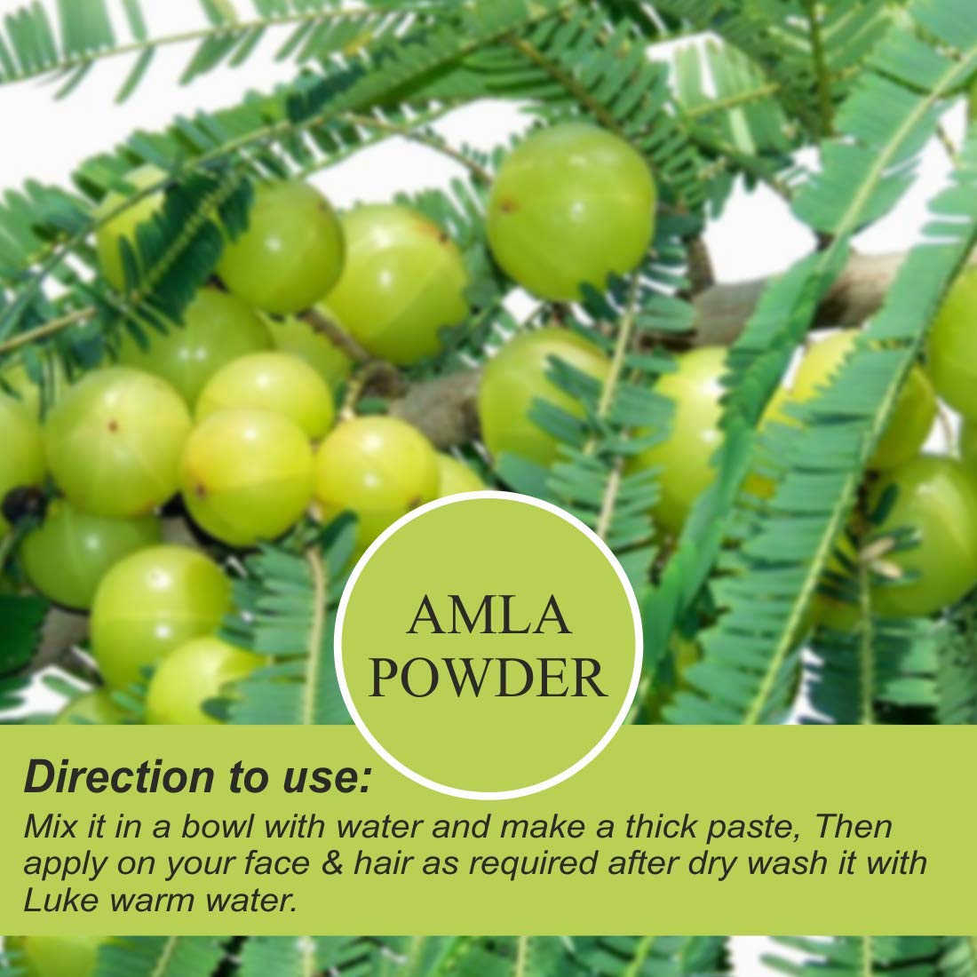Nuerma Science Fresh Amla Powder (Amalaki, Indian Gooseberry) - Rich in Antioxidants & Vitamin C | Supports Immune System, Digestive Health & Hair Growth | 100g | Perfect for Smoothies, Teas & Ayurvedic Recipes