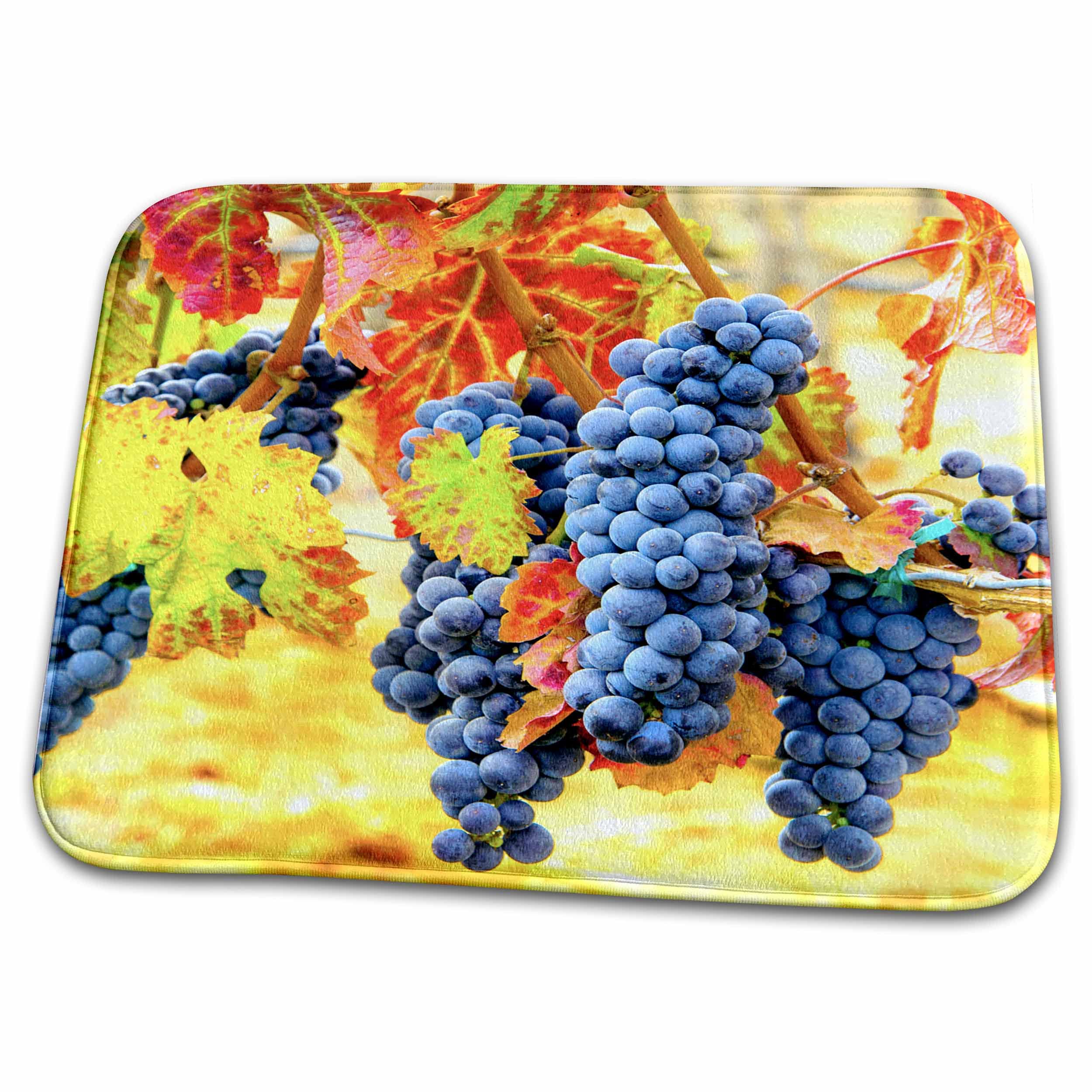 3D Rose USA Eastern Washington Cabernet Sauvignon Grapes Bathroom Rug Mat - Non-Slip Absorbent Bath Mat for Shower, Tub & Vanity Area - Soft Microfiber Floor Mat (Rug-191782-1) - Perfect for Bathroom Decor & Home Comfort