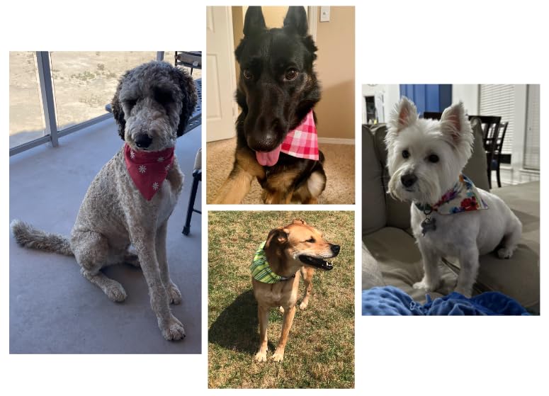 Colorful Reversible Slip-On Dog Bandana - Plaid, Polka Dots & Bees Print - Adjustable for Small, Medium & Large Dogs (Peaches & Polka Dots, XS/S) - Perfect for Summer Outings, Pet Photos & Daily Walks