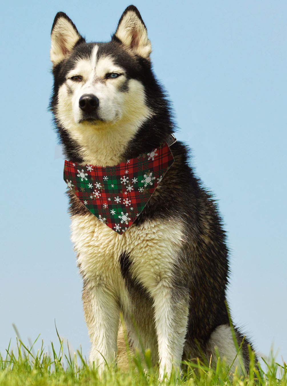Winter Dog Accessory Set - 4-Pack Christmas Dog Bibs & Scarf for Medium Dogs | Cozy Holiday Outfits for Pets
