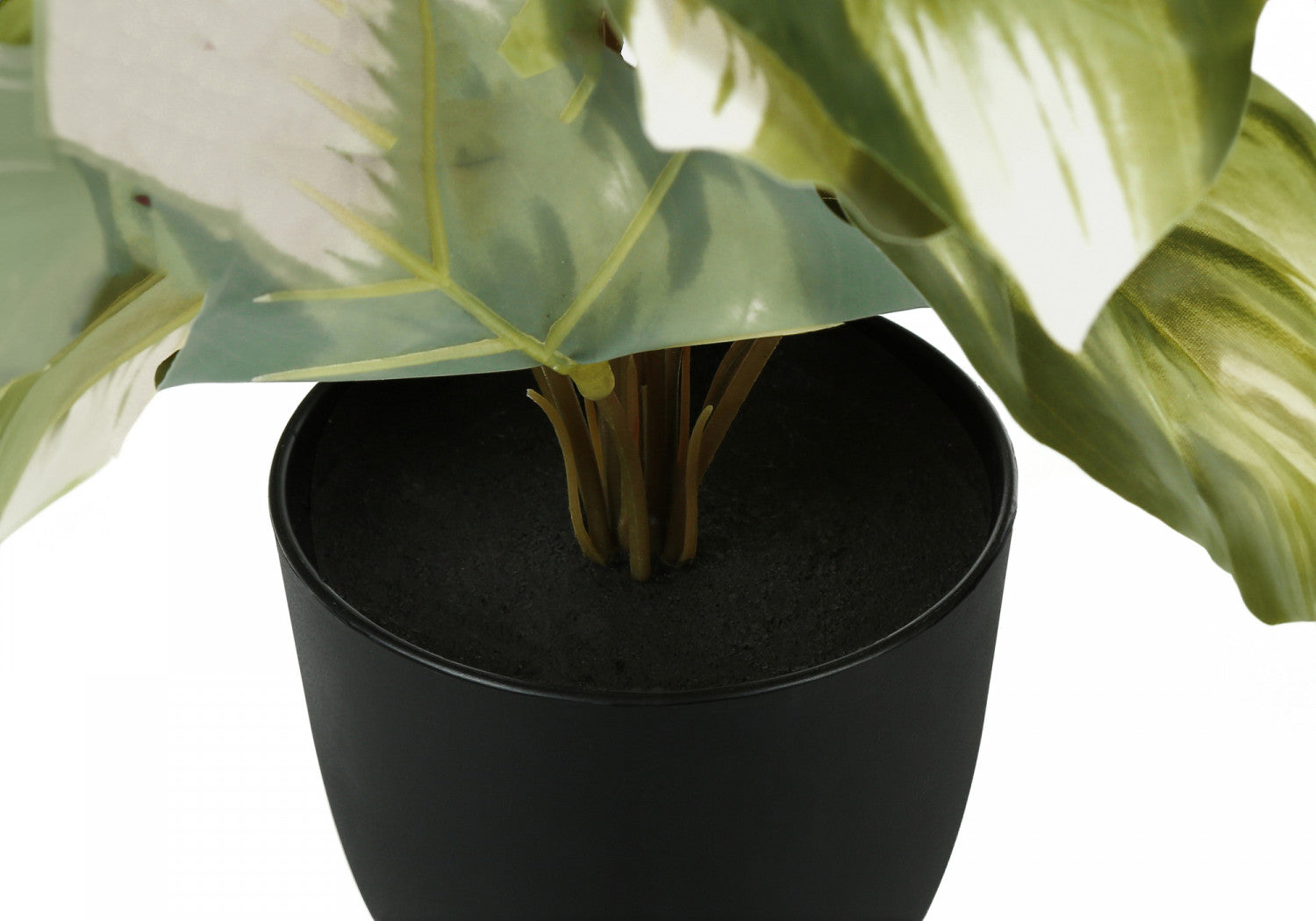 13 Monstera and Calathea Plants Set with 4 Black Pots - Indoor Houseplants for Home & Office Decor - Perfect for Living Room, Bedroom, or Workspace Greenery