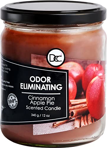 Cinnamon Apple Pie