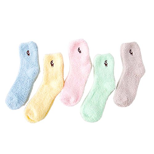 Multicolor-05