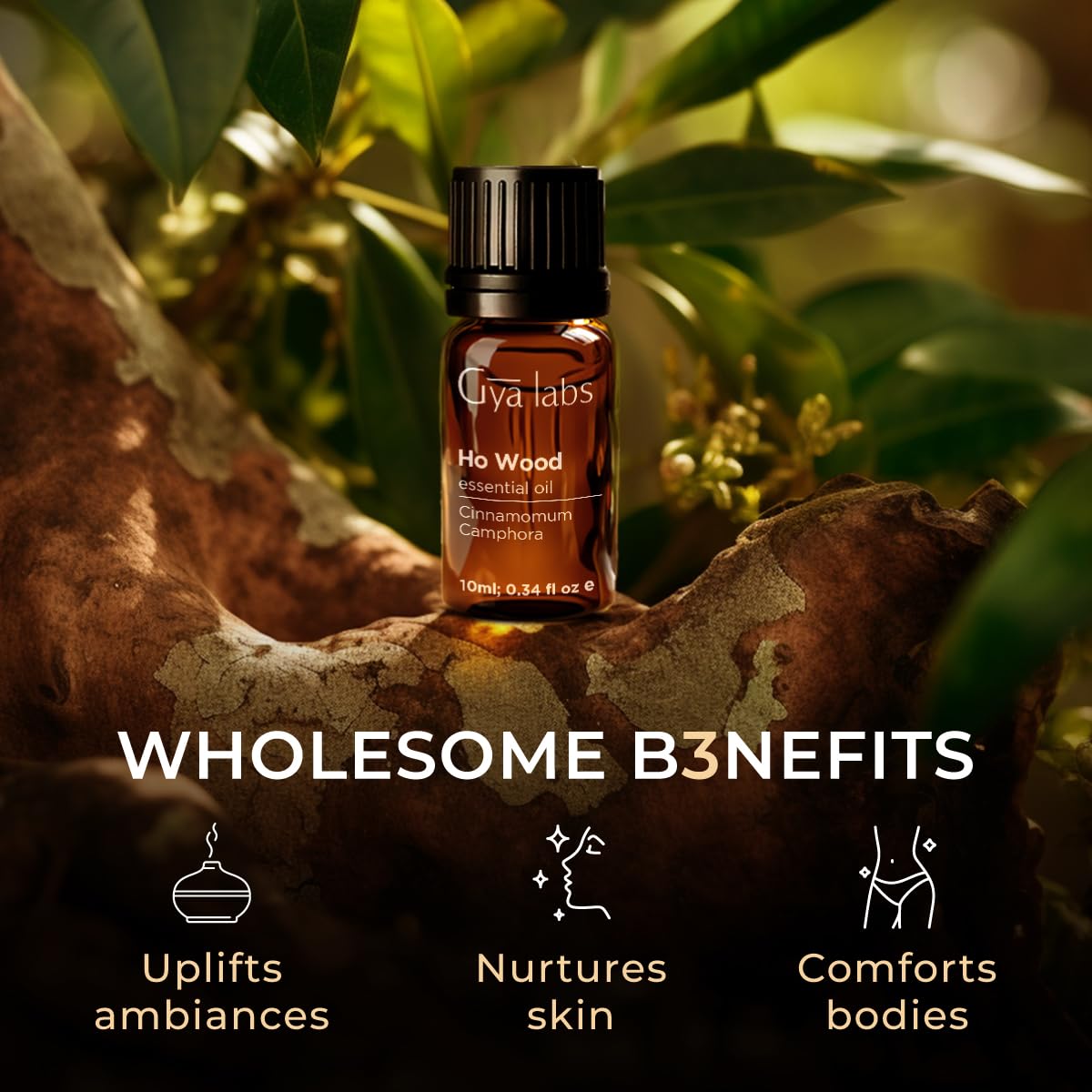Gya Labs 100% Pure Natural Ho Wood Essential Oil - 0.34 Fl Oz for Diffuser, Aromatherapy, Skin Care & Candle Making - Earthy Floral Scent for Relaxation, Stress Relief & Home Fragrance