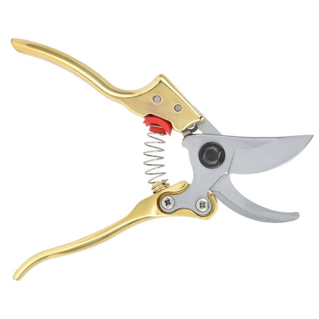 Premium Gardening Pruning Shears - Sharp Bypass Pruner for Branch Trimming, Home Garden, Floral Arrangement & Landscaping | Ergonomic Hand Tool for Easy Cutting & Pruning