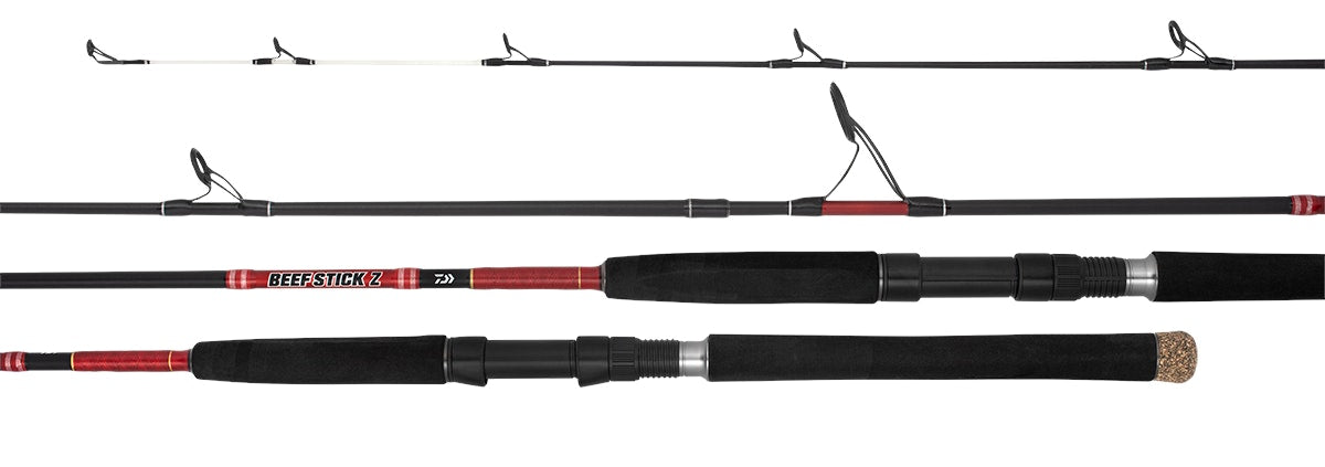 Daiwa 21 Beefstick Z Overhead Fishing Rod - Saltwater & Freshwater Casting Rod for Bass, Trout, and Salmon Fishing - Perfect for Shore, Boat, and Kayak Angling