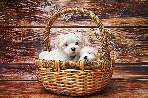 1000-Piece Wooden Jigsaw Puzzle - Basket Puppies - Challenging Puzzle Game for Adults & Kids - Perfect for Family Bonding, Stress Relief & Home Decor