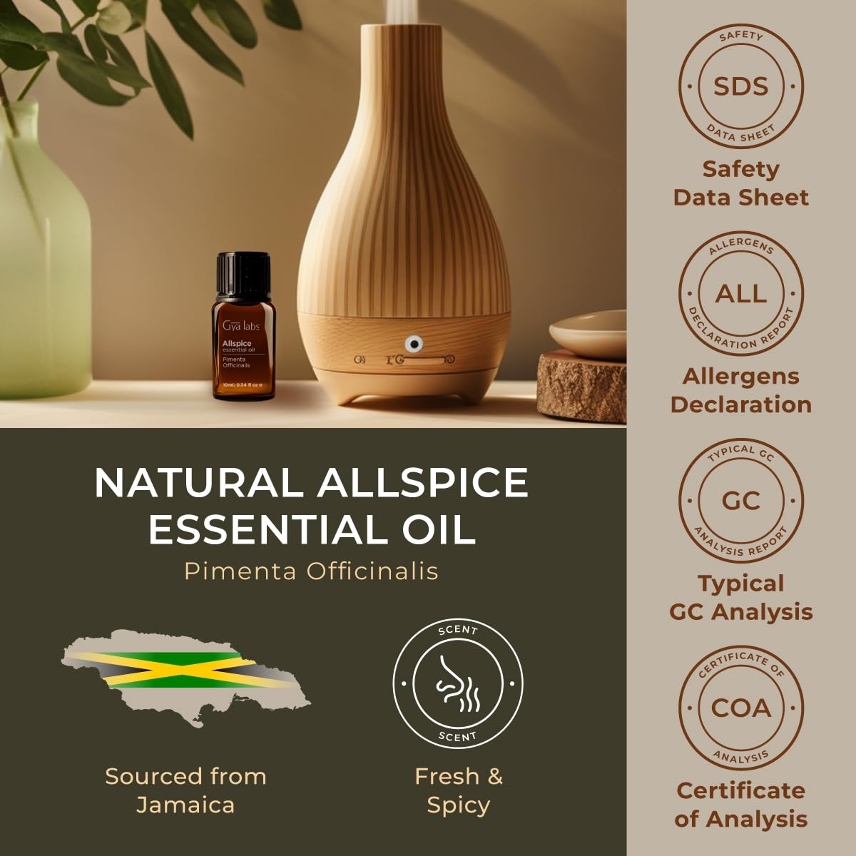 Gya Labs 100% Pure Allspice Essential Oil - 0.34 Fl Oz Natural Oil for Aromatherapy Diffusers, Skin Care, Candle Making & DIY Projects - Sweet Spicy Scent - Perfect for Relaxation, Home Fragrance & Handmade Gifts