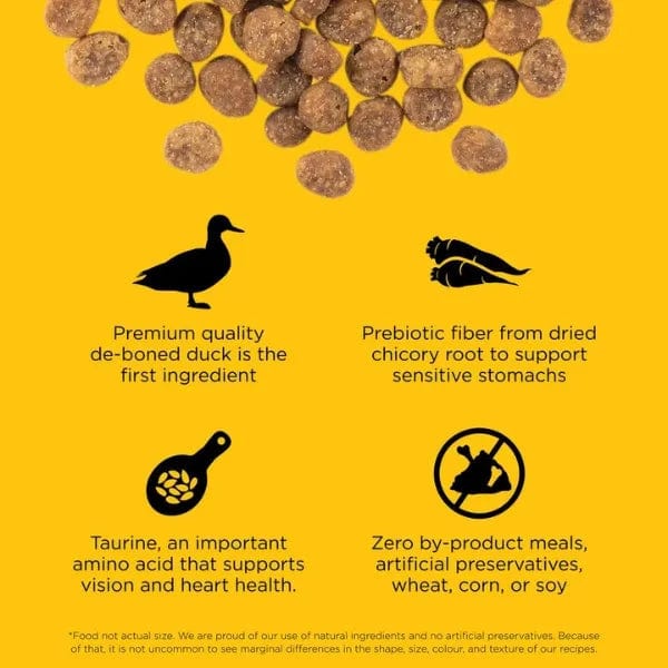 Go! Solutions Sensitivities Limited Ingredient Grain-Free Duck Recipe Dry Cat Food - Hypoallergenic & Digestive Support for Cats with Food Allergies - Perfect for Sensitive Stomach & Skin Health