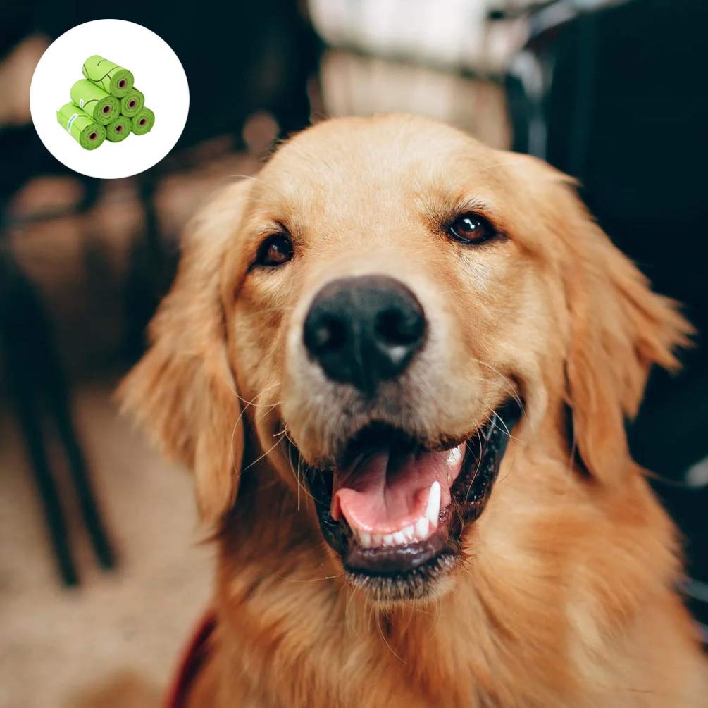 6-Pack Eco-Friendly Dog Poop Bags - Biodegradable Pet Waste Bags for Dogs, Cats & Pets - Leak-Proof & Scented Doggie Waste Disposal Bags - Perfect for Walking, Travel & Park Cleanup