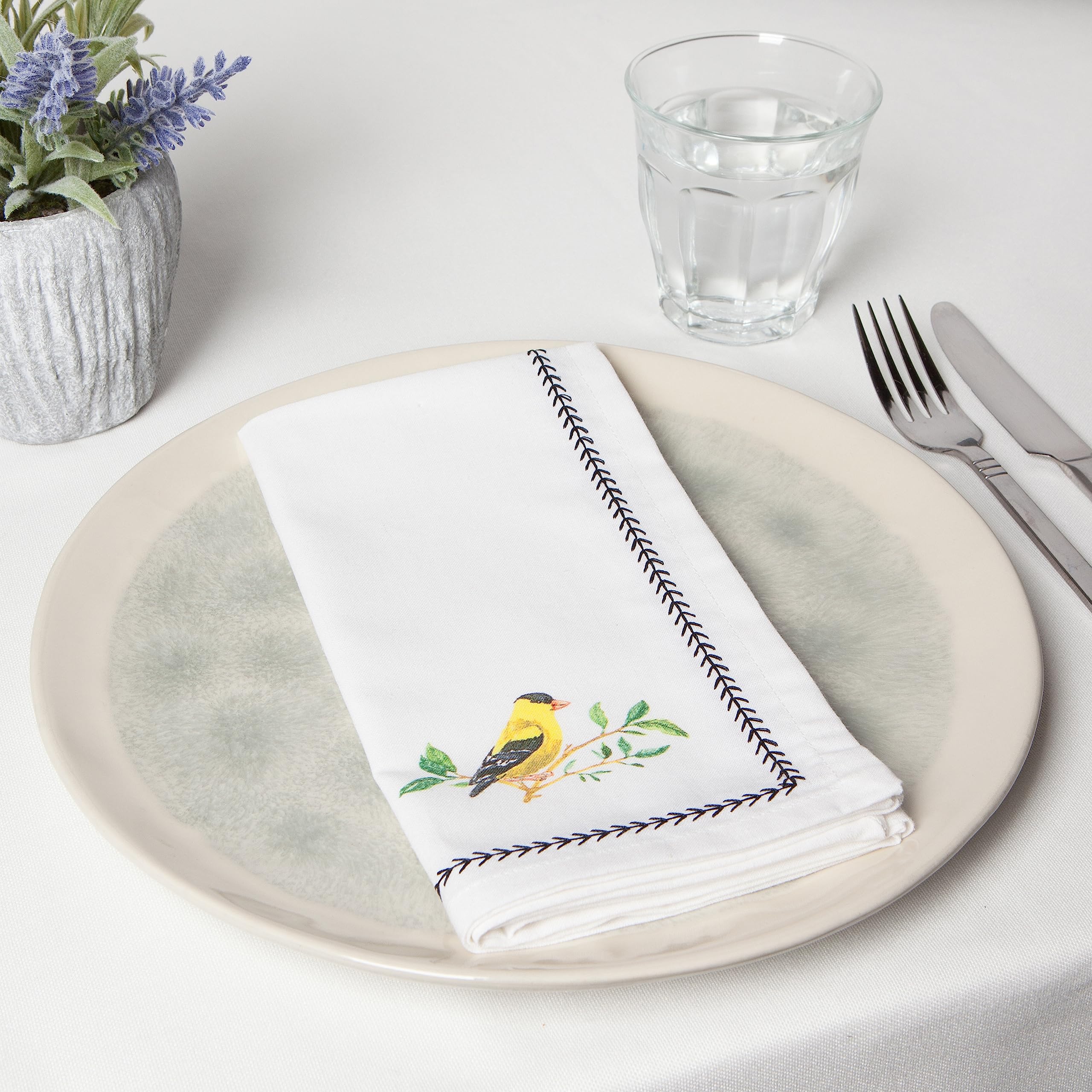 Now Designs Birdsong Cotton Napkins 18x18 Inch, Set of 4 - Soft & Absorbent Kitchen & Dining Table Linens for Everyday Meals, Parties & Home Decor