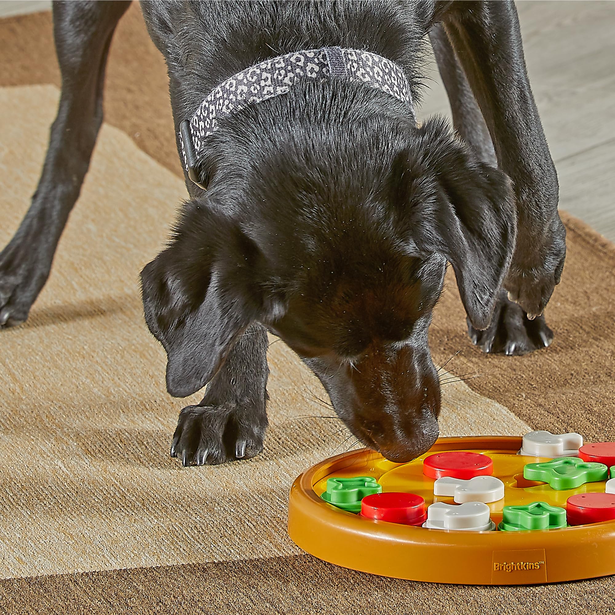 Brightkins Pizza Party! Interactive Dog Puzzle Toy - Treat Dispensing Brain Game for Dogs, Fun Enrichment Activity for Small & Large Breeds - Perfect for Boredom Relief & Mental Stimulation