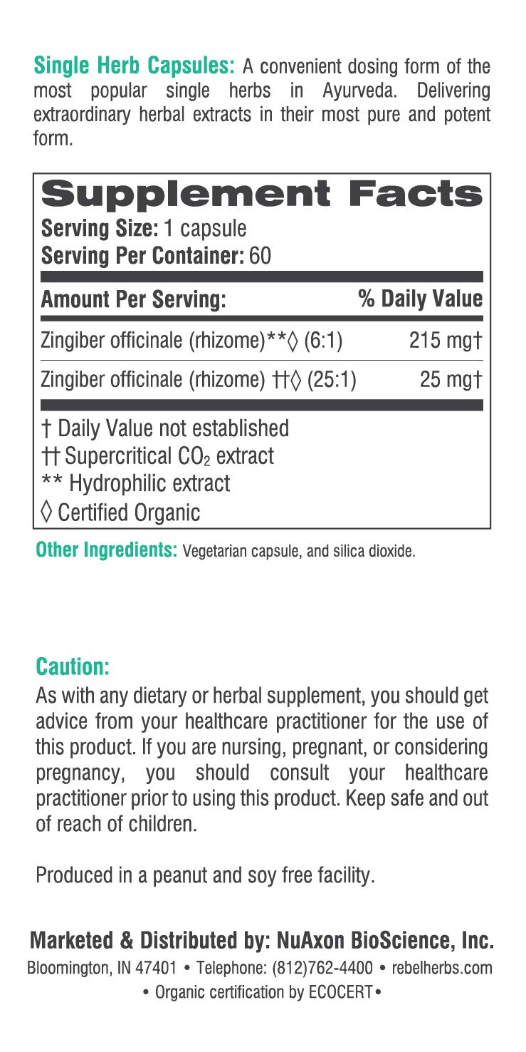 Powerful Dual Extract Ginger Root Capsules - Non-GMO, Gluten Free, 100% Pure Ginger Rhizome Extract | Supports Digestion & Nausea Relief for Travel & Morning Wellness