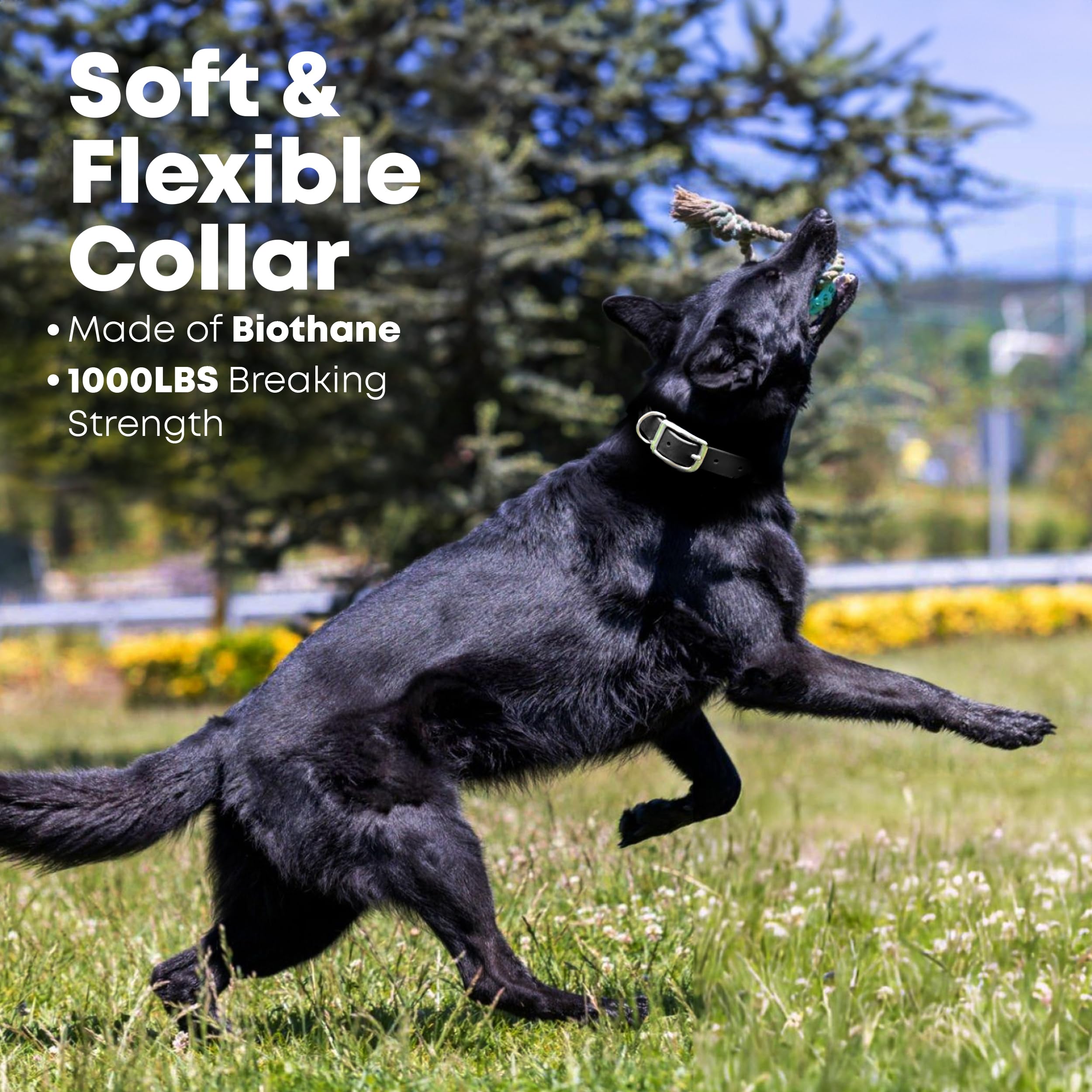 **Custom Engraved Biothane Dog Collar - Small Black Waterproof & Durable Pet Collar with Name Plate, Double Buckle & Center Ring - Perfect for Outdoor Adventures, Training & Daily Walks**