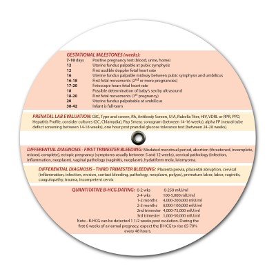 Pregnancy Due Date Calculator Wheel - Accurate Gestational Age & Conception Date Tracker for Expecting Moms - Perfect for OB/GYN Visits & Baby Shower Planning