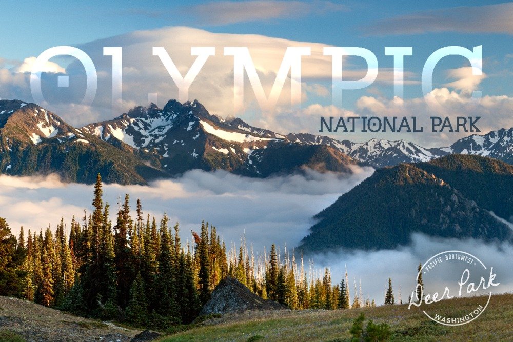 Olympic National Park Washington Deer Park 81134 - 24x36 Signed Art Print, Wall Decor Poster for Living Room, Bedroom & Office