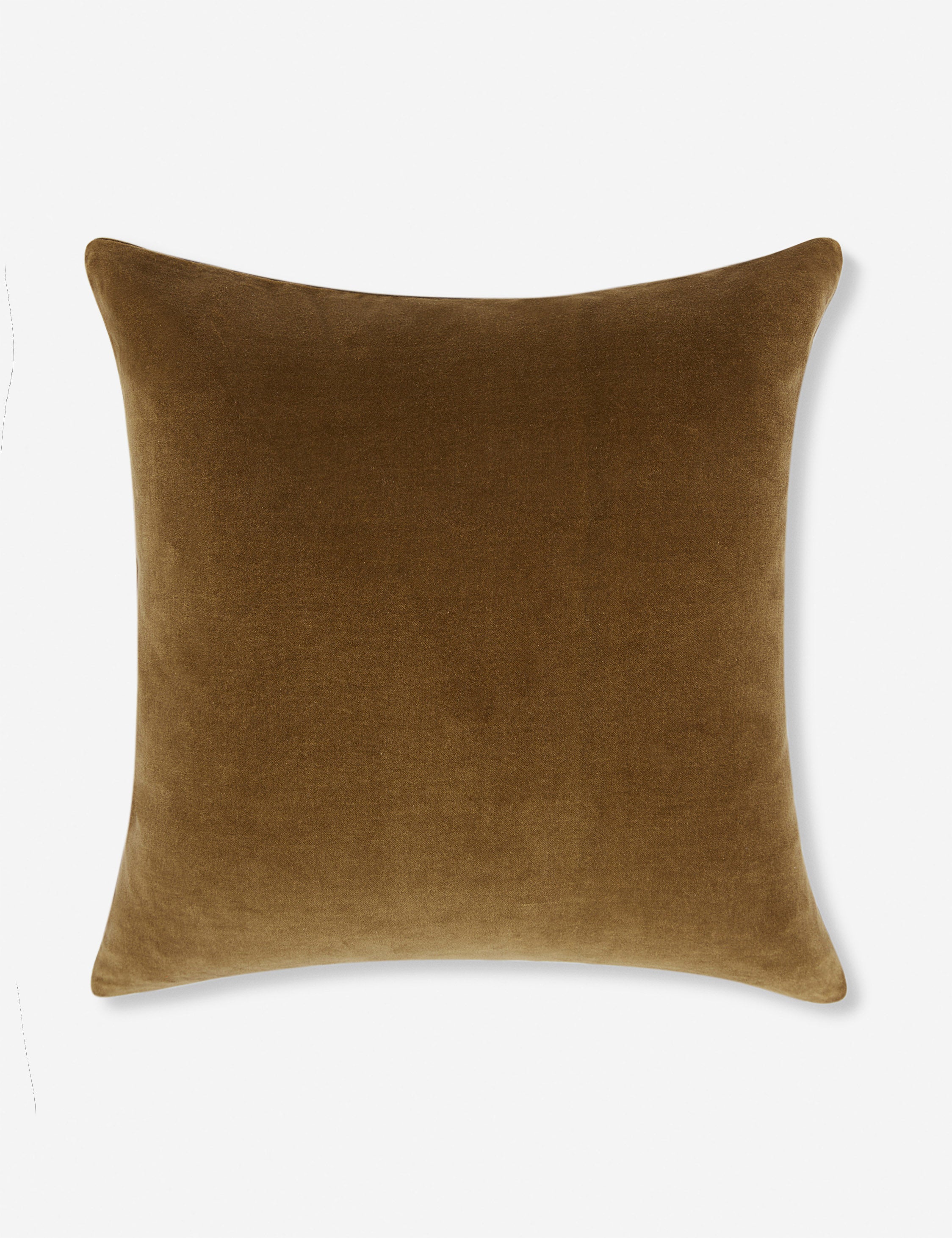 Charlotte Velvet Pillow - Soft Luxury Decorative Throw Pillow for Sofa, Bed & Couch - Perfect for Living Room, Bedroom & Home Decor