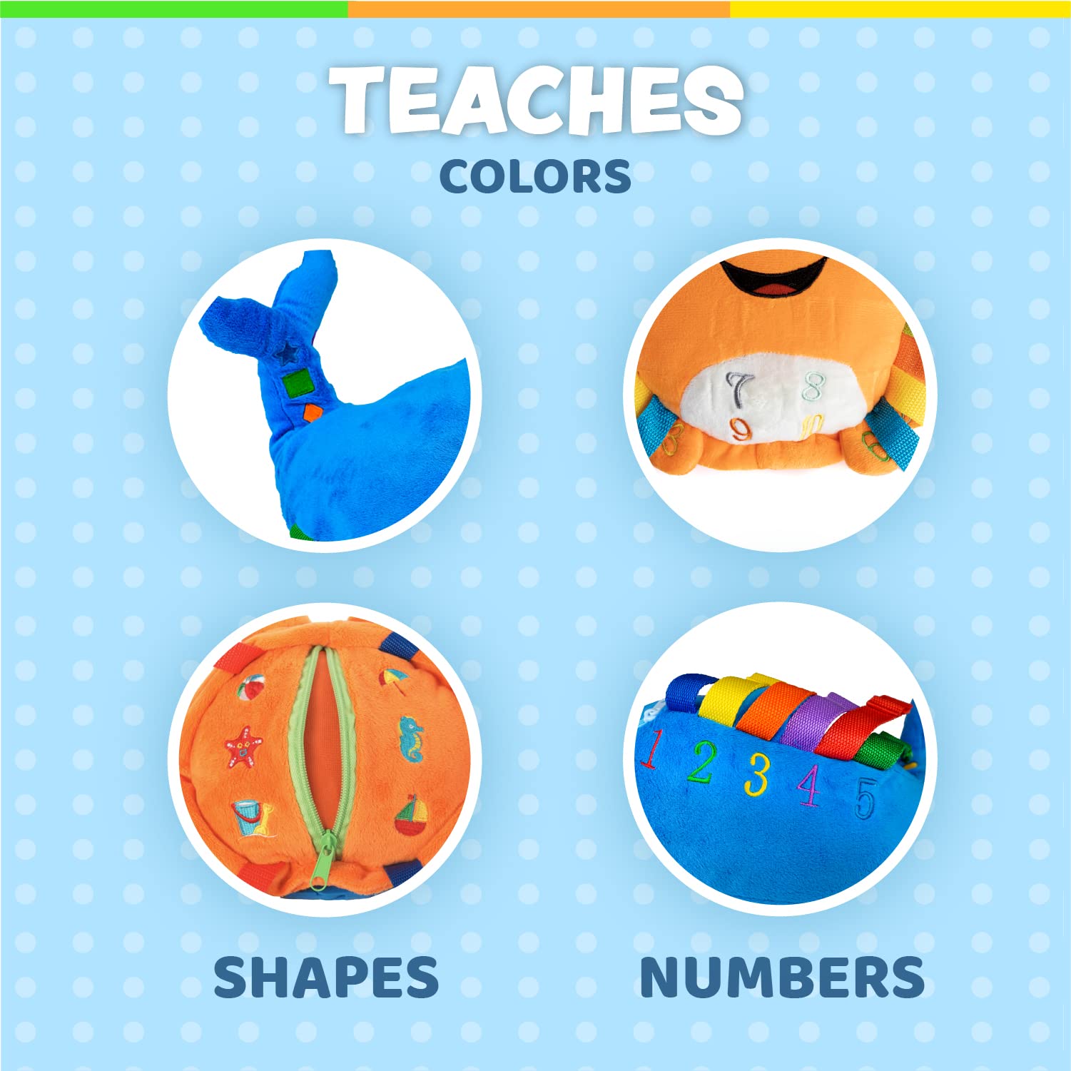 Buckle Toys - Blu Whale & Barney Crab Ocean Buddies Bundle for Toddlers | Sensory Learning Toys for Autistic Kids | Perfect for Travel, Daycare & Preschool Playtime