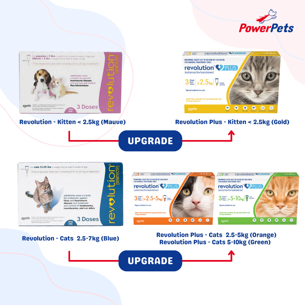 FDA Approved Revolution for Dogs & Cats - Flea & Worm Prevention Topical Treatment | Vet Recommended Spot-On Solution for Puppies, Kittens & Adult Pets | Home & Travel Protection