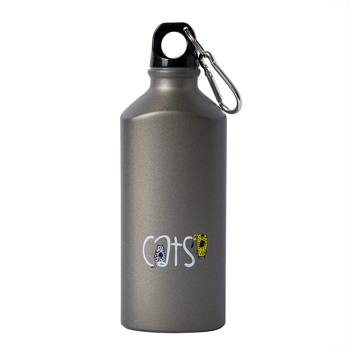BiggDesign Insulated Aluminum Water Bottle with Lid & Carabiner Clip - 20oz BPA-Free Leakproof Cat Design Thermos for Hiking, Gym & Outdoor Activities