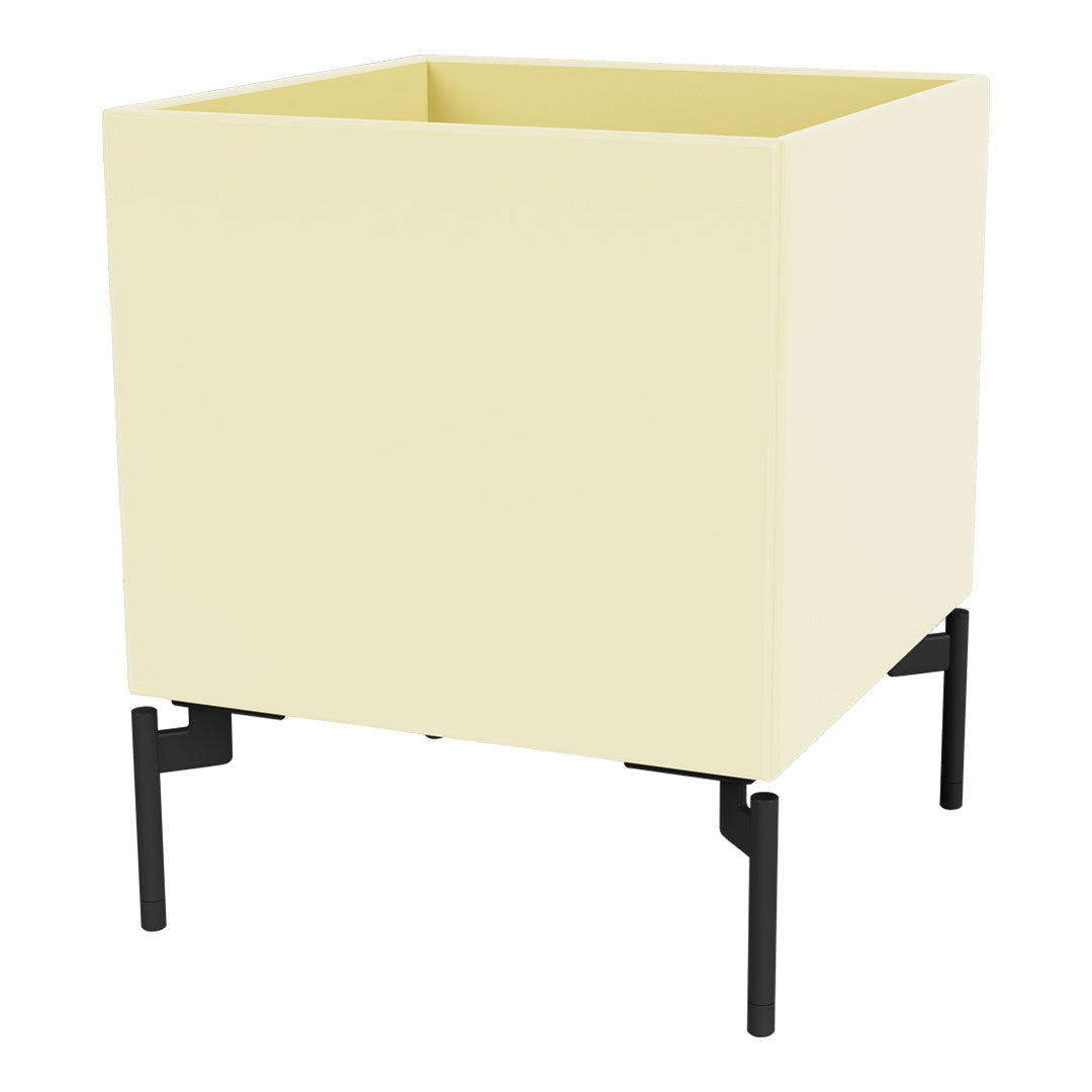 159 Camomile