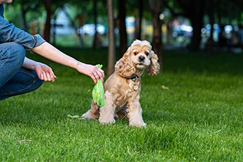 **Wholesale 480 Rolls (9600 Count) Eco-Friendly Dog Poop Bags with d2w Fast Degradation - Lavender Scented Pet Waste Bags for Easy Cleanup at Parks & Walks (PB480)**