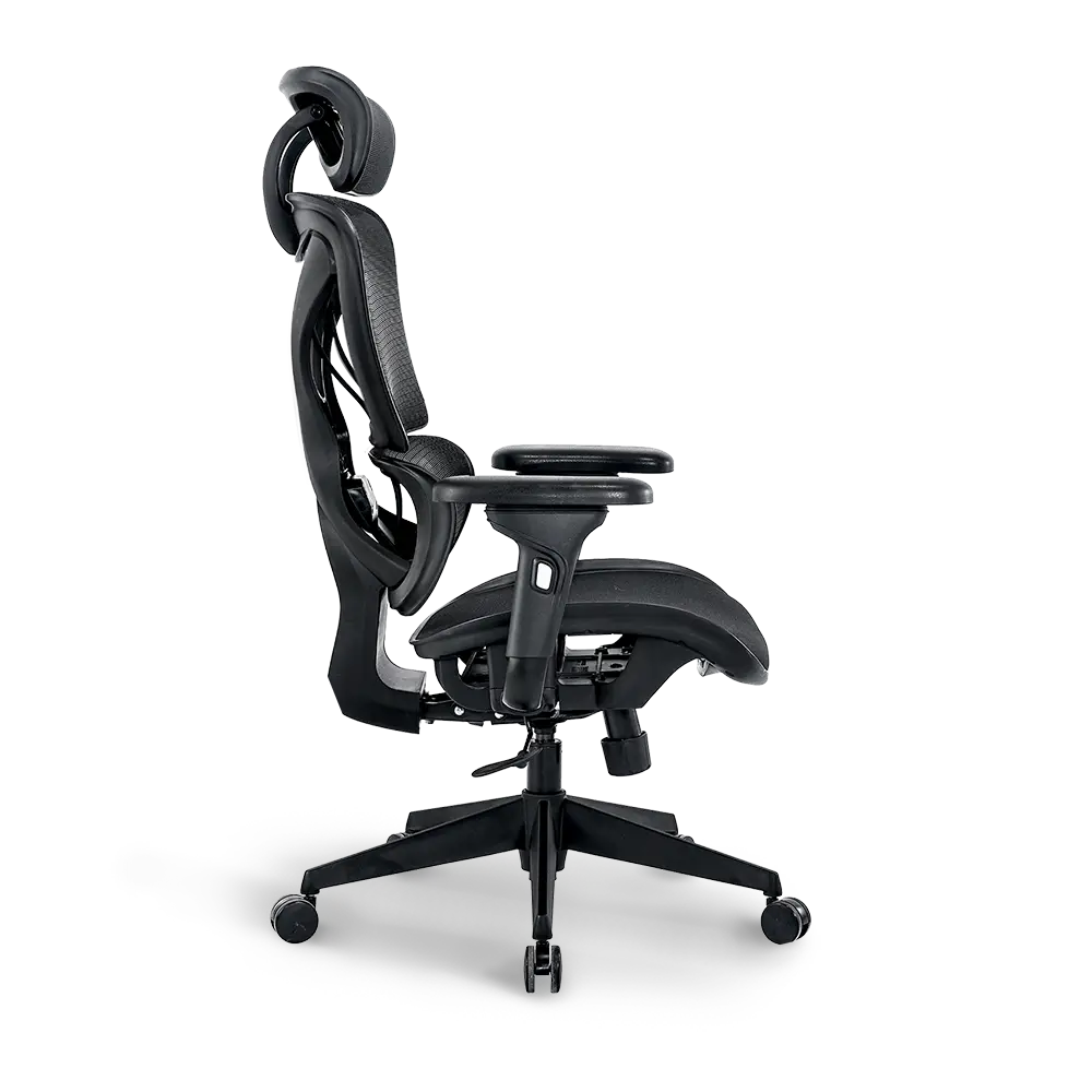 Ergonomic Office Chair with Lumbar Support - Adjustable Height & Swivel - Bea Comfortable Desk Chair for Home & Office Use - Perfect for Long Hours of Work or Gaming Sessions