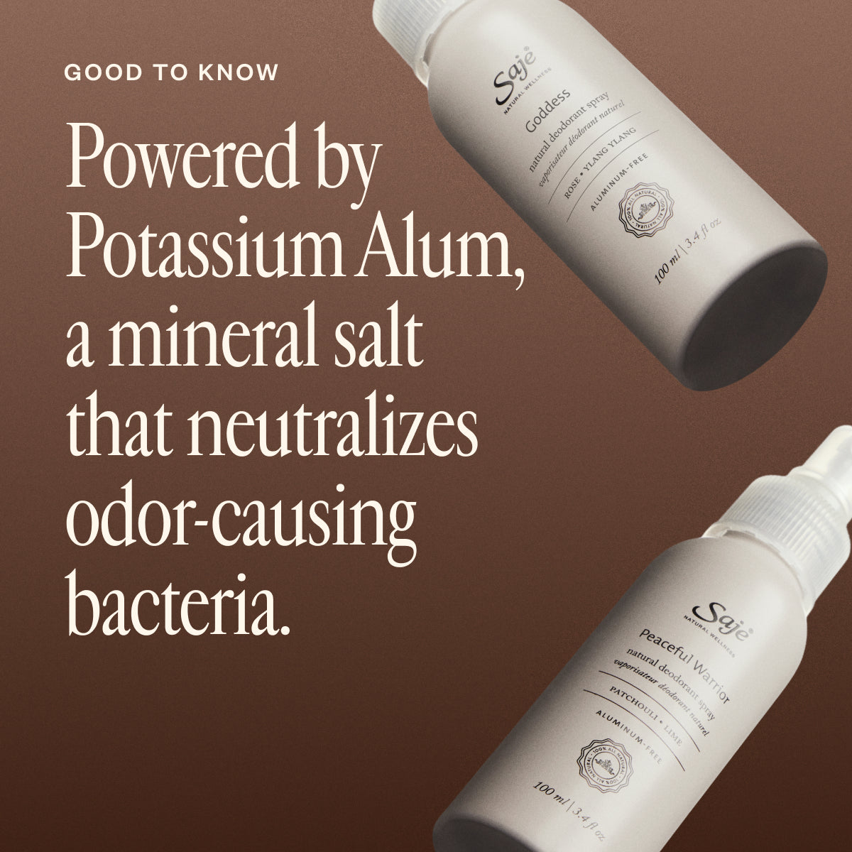 Natural Deodorant Duo - Organic & Aluminum-Free Deodorant for Women & Men - Fresh & Long-Lasting Protection - Perfect for Gym, Work & Daily Use