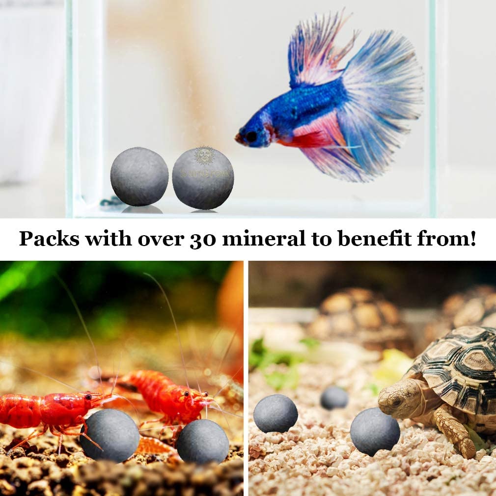 SunGrow Calcium-Rich Energy Balls for Aquariums - Betta Fish Breeding Support, Tank Cleaning Aid & Fish Activity Booster | Enhance Water Quality & Promote Healthy Fish Breeding in Freshwater Tanks