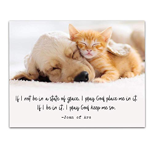 Puppy Kitten Hug