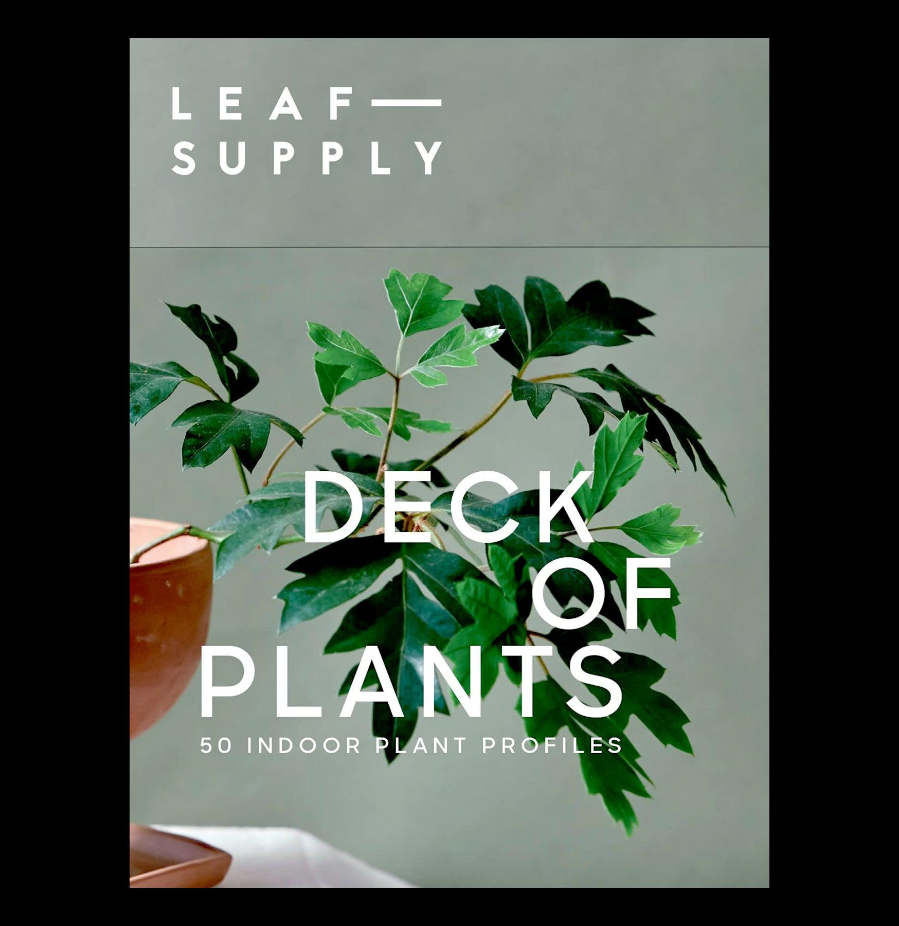 Leaf Supply Deck of Plants - 52 Unique Plant Care Cards for Indoor Gardening, Perfect for Plant Lovers & Home Decor | Ideal for Gifts, Housewarming & Plant Enthusiasts