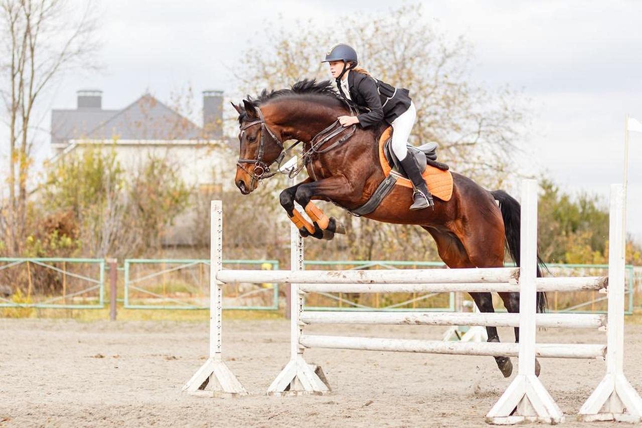 Muroanmi 500-Piece Jigsaw Puzzle - Young Female Equestrian Jumping Over Hurdle - Custom Horse Riding Puzzle for Adults & Teens - Personalized Wall Art & Home Decor - Perfect for Relaxation, Gifts & Family Game Night
